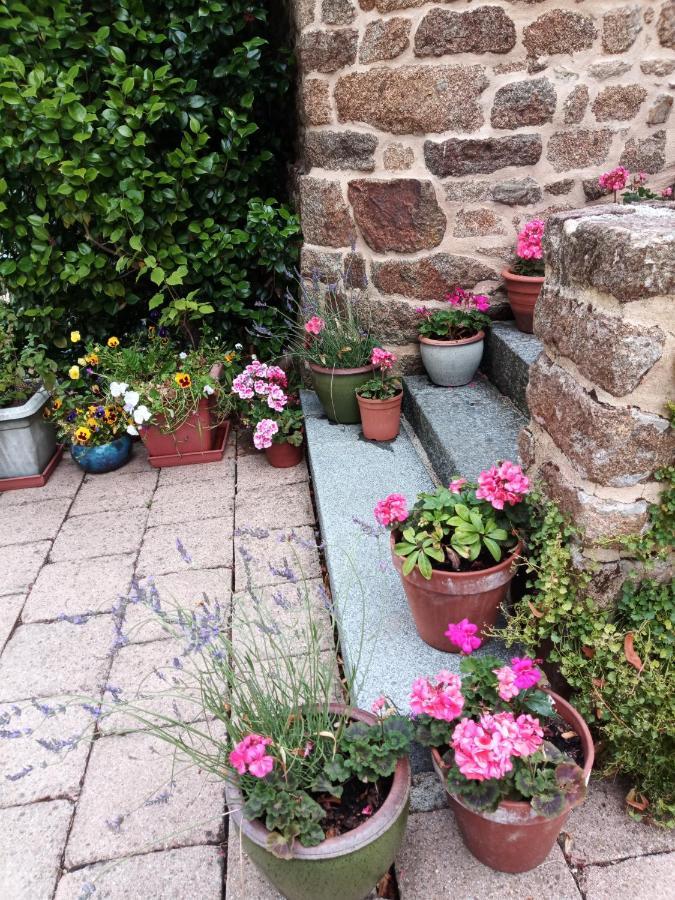 Villa La Cote Du Chat 3* En Bretagne Romantique Hédé Buitenkant foto